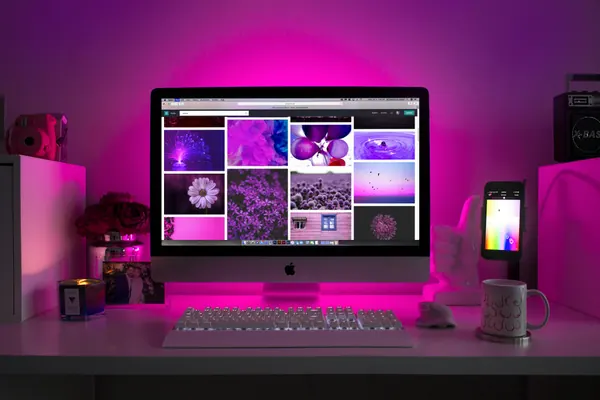 Project Preview